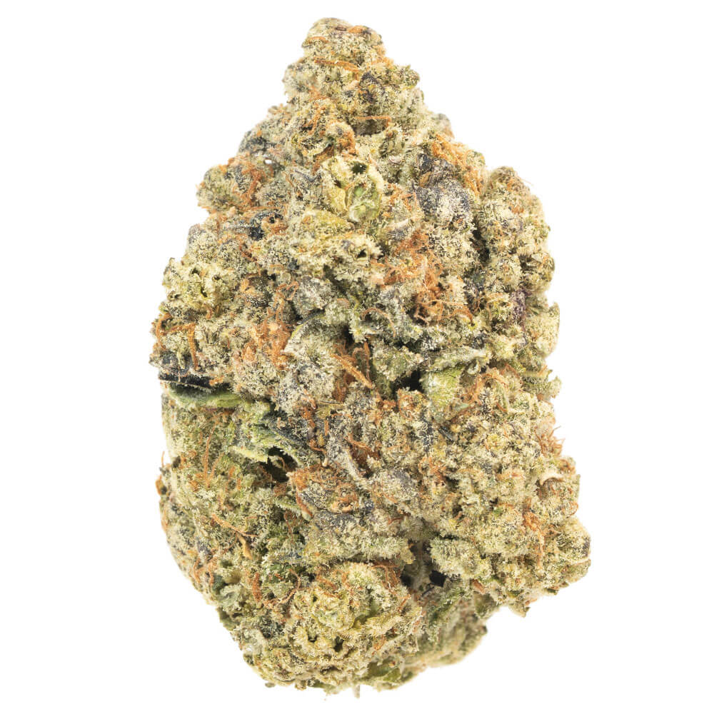 Animal-Face-Craft-Collection-1.jpg Animal Face - Image 1