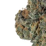 Apple Fritter THCa Flower - Image 2