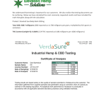 Elevated Soul CBD – Body Balm