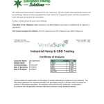 Elevated Soul CBD – Muscle Cream