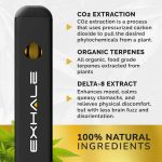 Delta 8 Disposable Vape Pen – Mango - Image 4