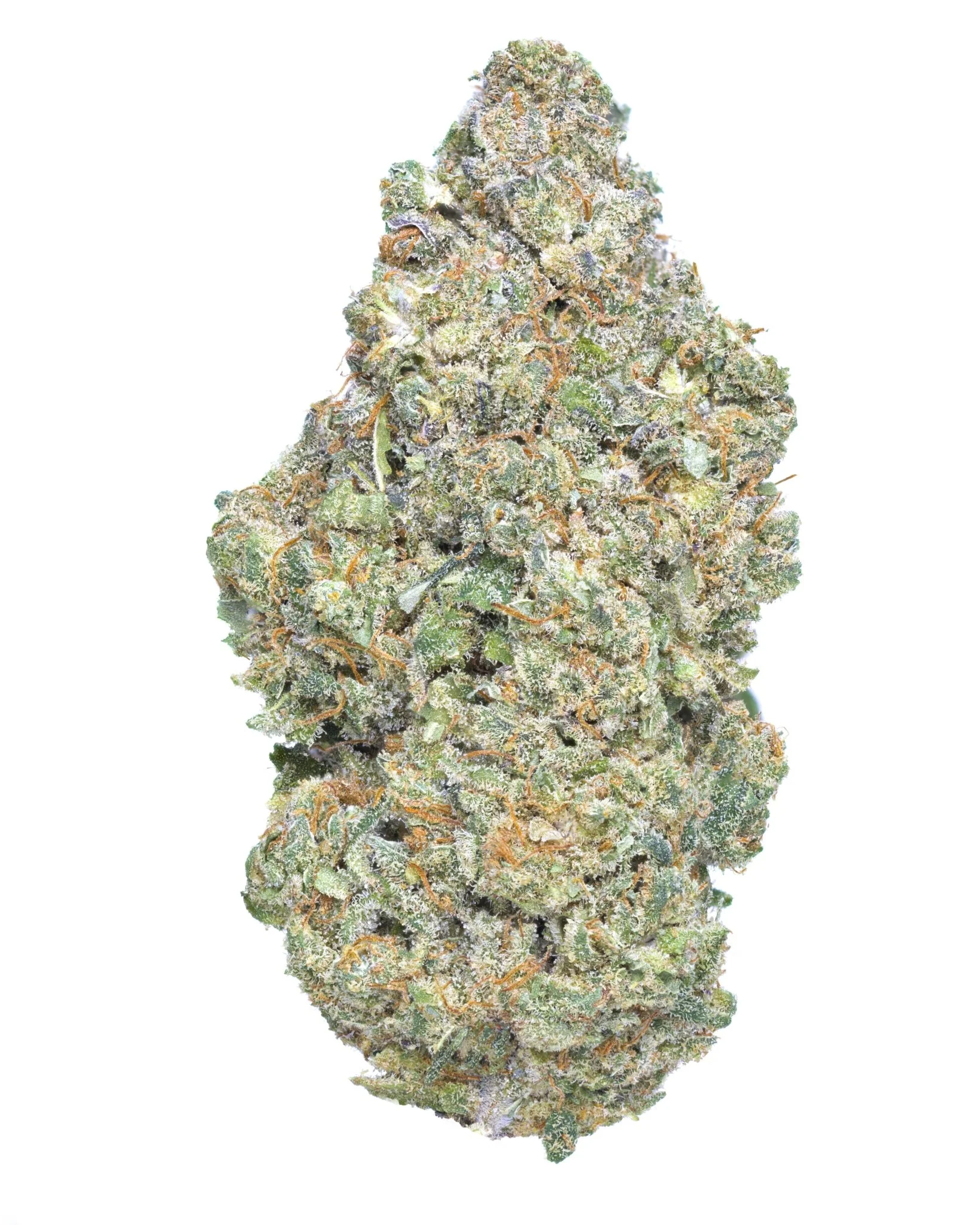 Dough-Boy-CBD-1.webp Dough Boy CBD - Image 1