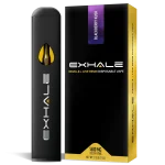 Exhale Wellness Delta 8 Disposable Vape – Blackberry Kush