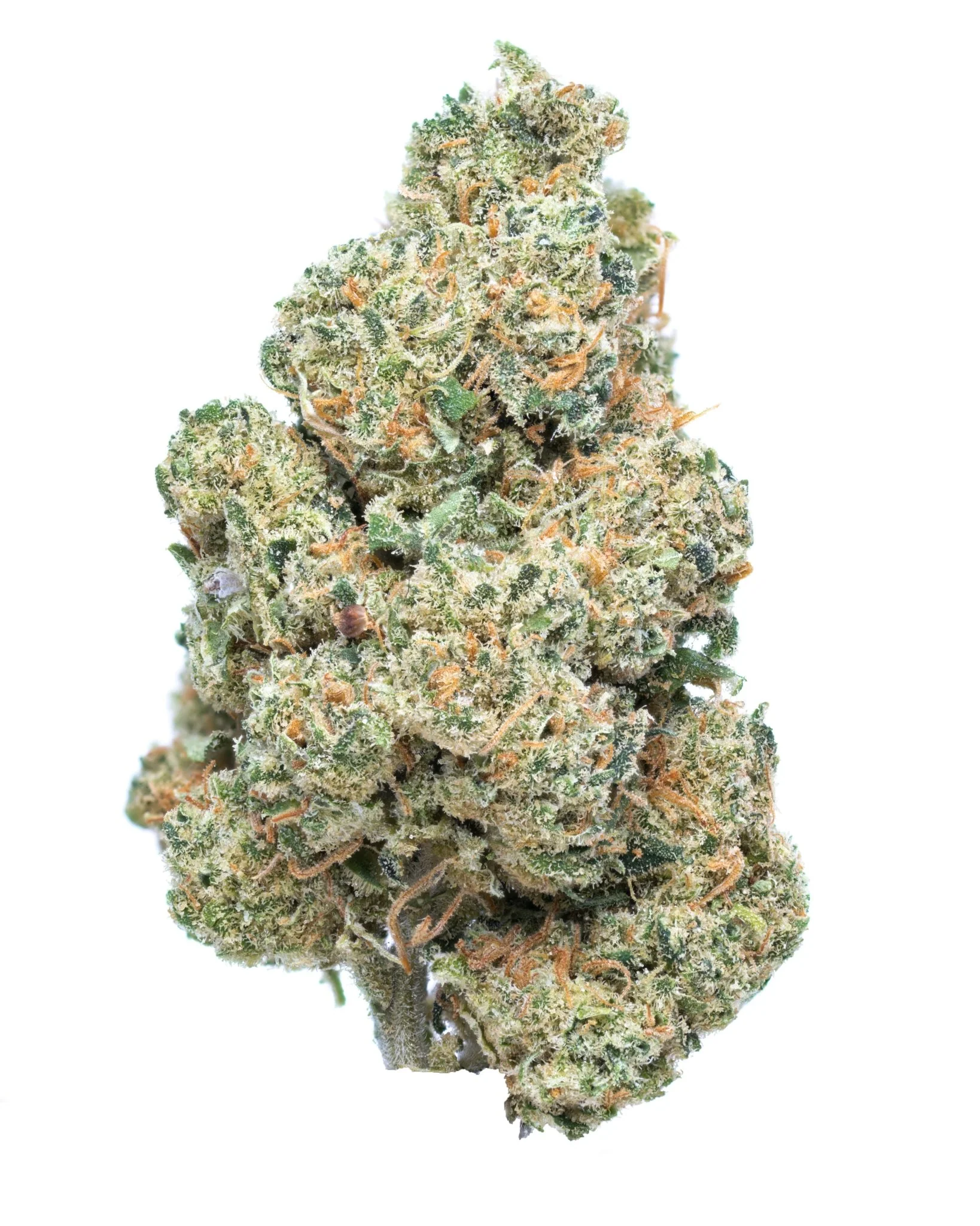 Frosted-Kush-CBD-1.webp Frosted Kush CBD - Image 1