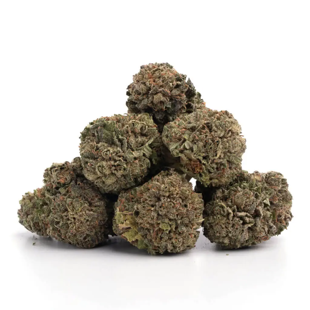 Garlic-Breath-1.webp Garlic Breath - Image 1