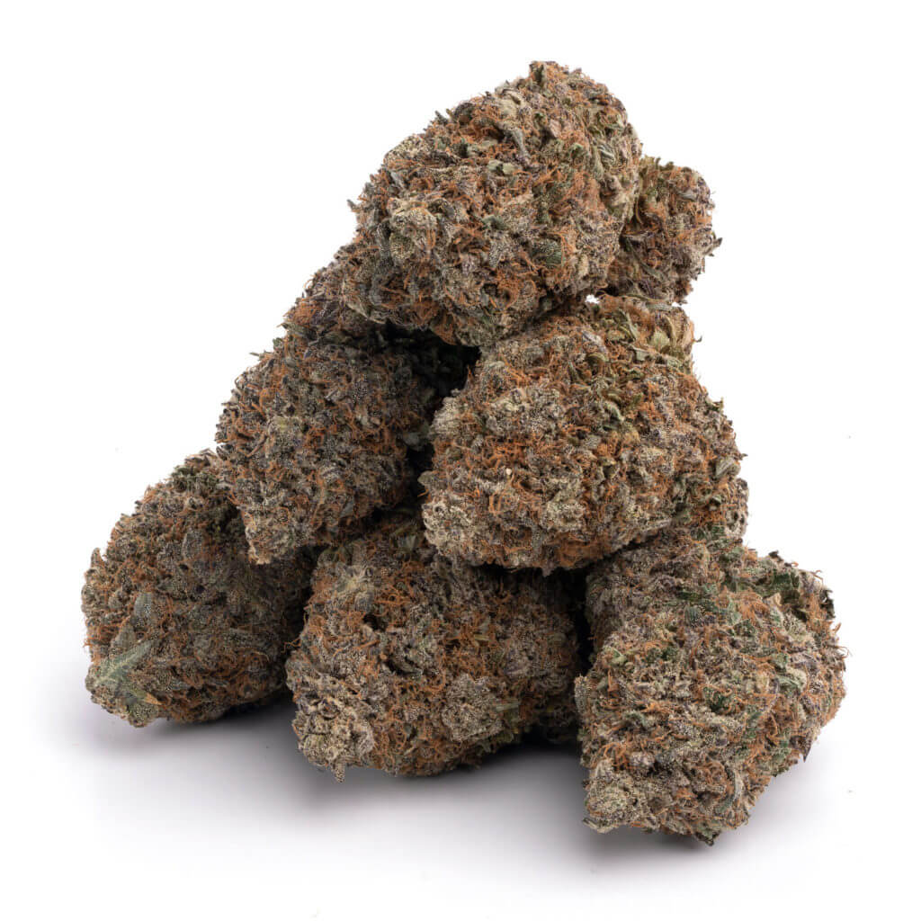 Mataro-Blue-Strain-1.jpg Mataro Blue - Image 1