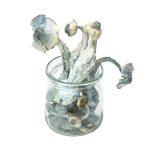 Mungus – Albino Penis Envy (PREMIUM)