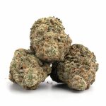 Rainbow Pie - Image 2