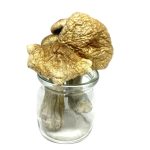 Treasure Coast Magic Mushrooms – Mungus