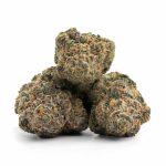 Tropical Smoothie - Image 2