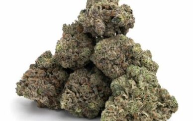 Buy Cannabis Flower Online